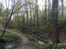 Ravine Park, Lake Bluff
